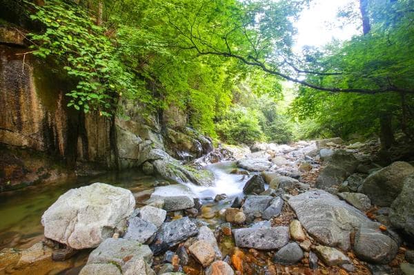 이런 곳이 있었어?” 강원 인제 방태산 자락의 비밀의 계곡