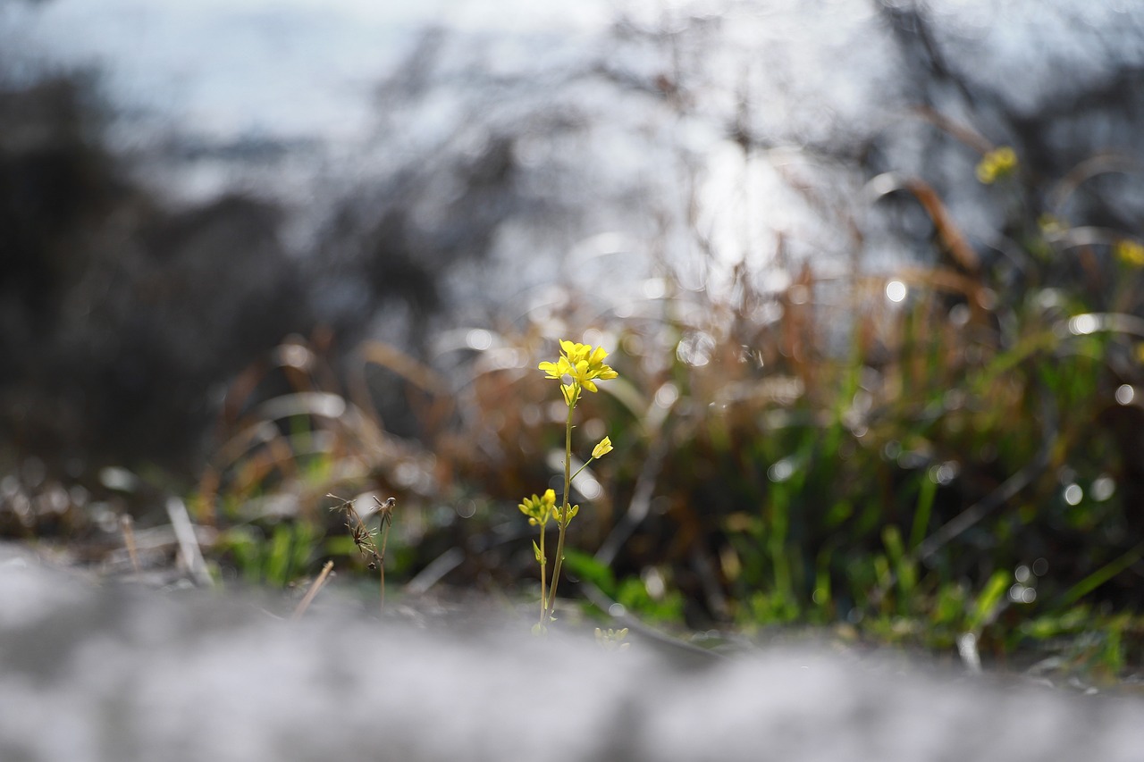 전남 여행 - 장흥