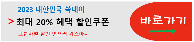 대한민국 쓱데이