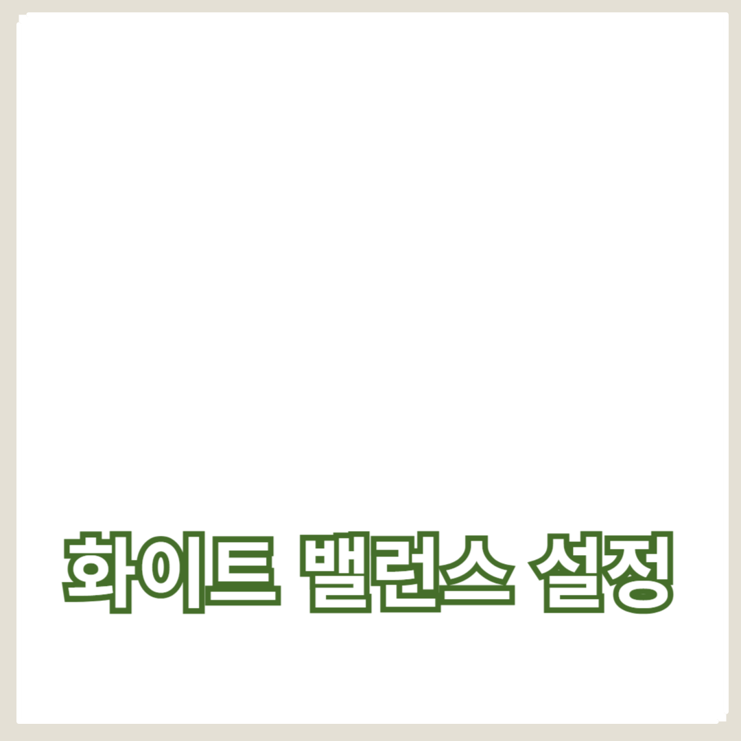 화이트 밸런스 설정으로 사진 색상 정확도 높이기