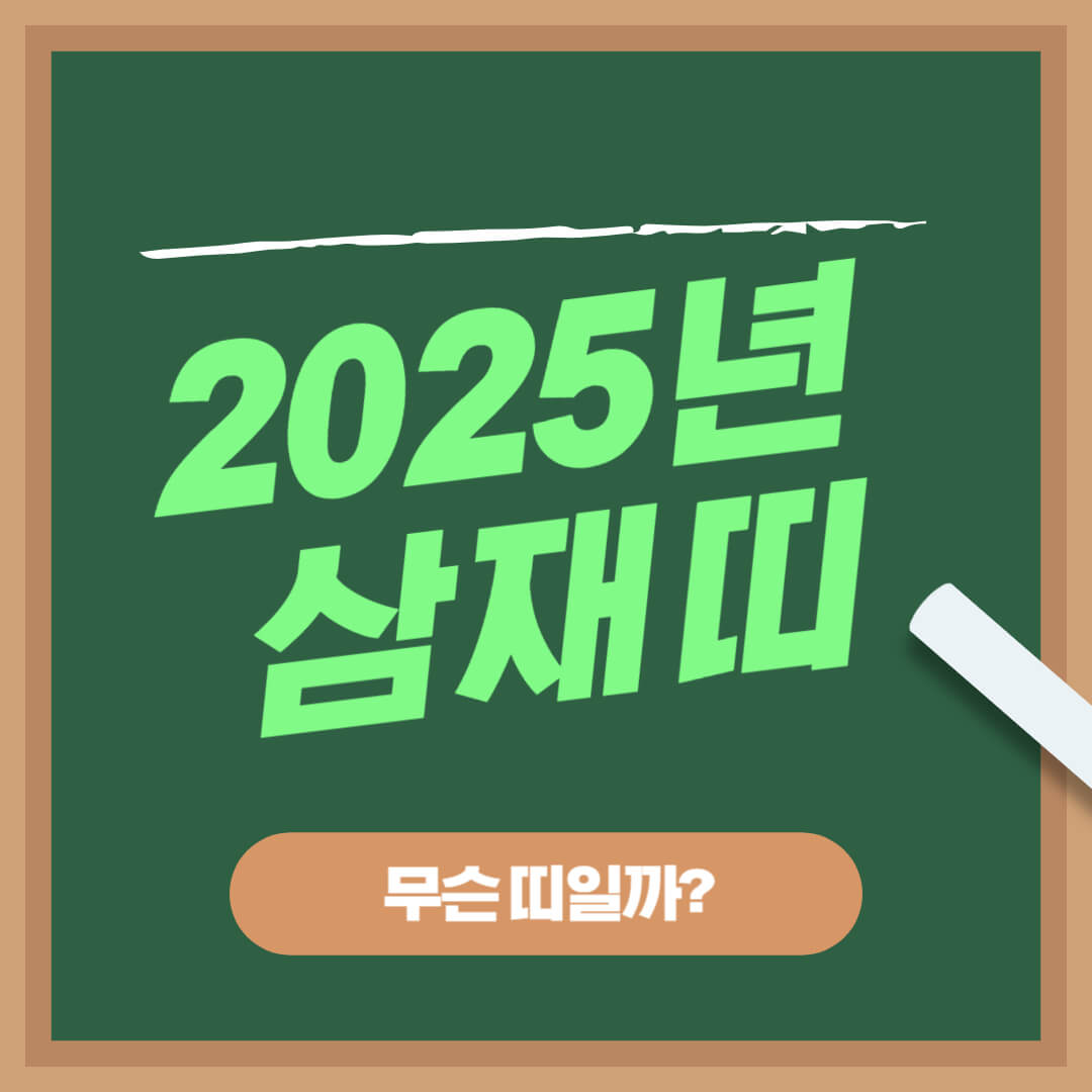 올해 2025년 삼재띠 대박띠