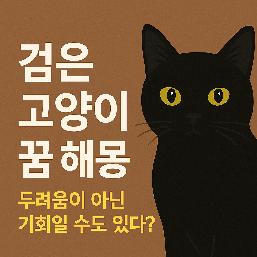 검은 고양이 꿈 해몽