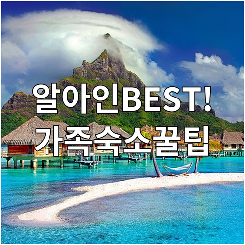 알 아인 가족 커플 숙소 추천 6곳 ..