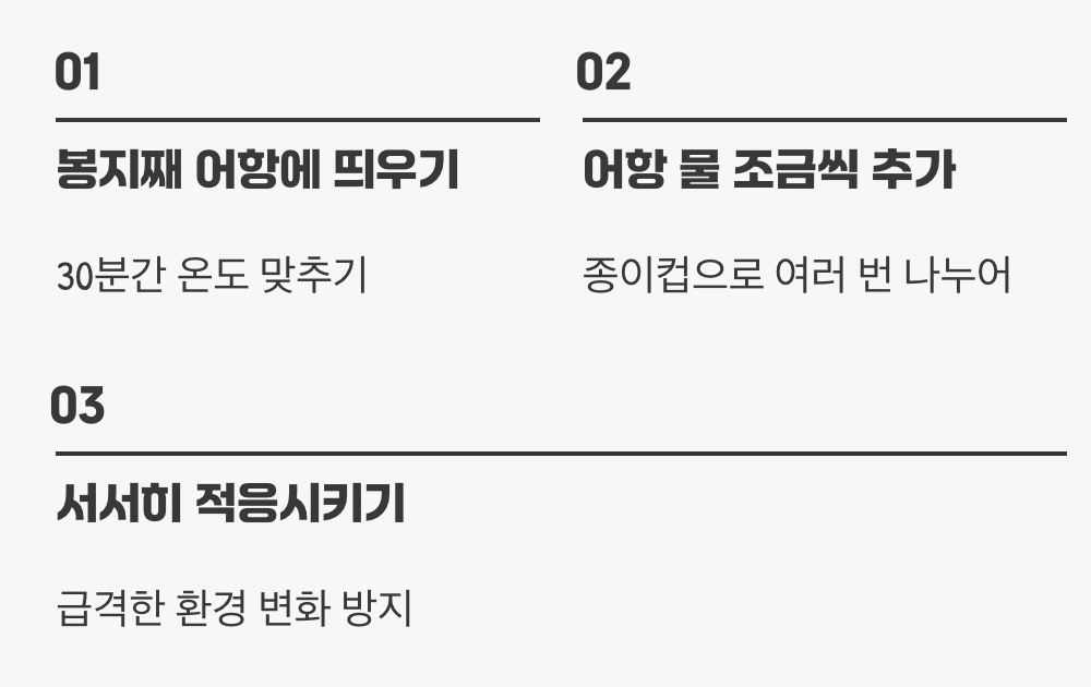 실수 1. '물맞댐' 없이 바로 입수시키는 것