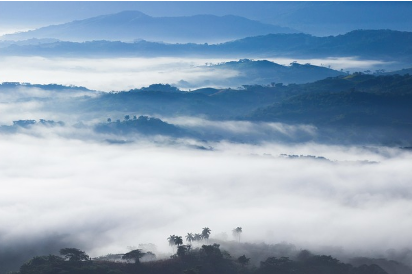 개인회생 신청자격 절차 총정리: 신청부터 인가까지 한 번에 알아보기