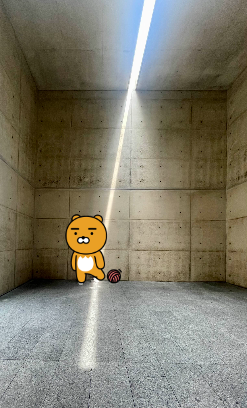 뮤지엄 산 빛의 공간 빛이 충만3