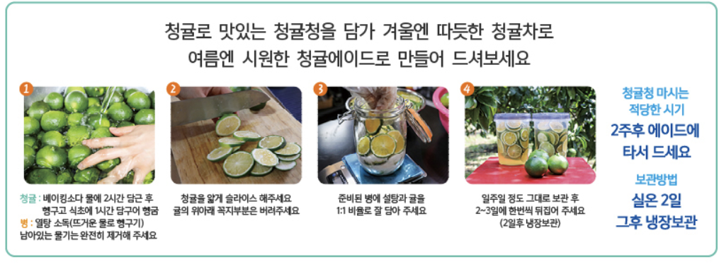 청귤체험