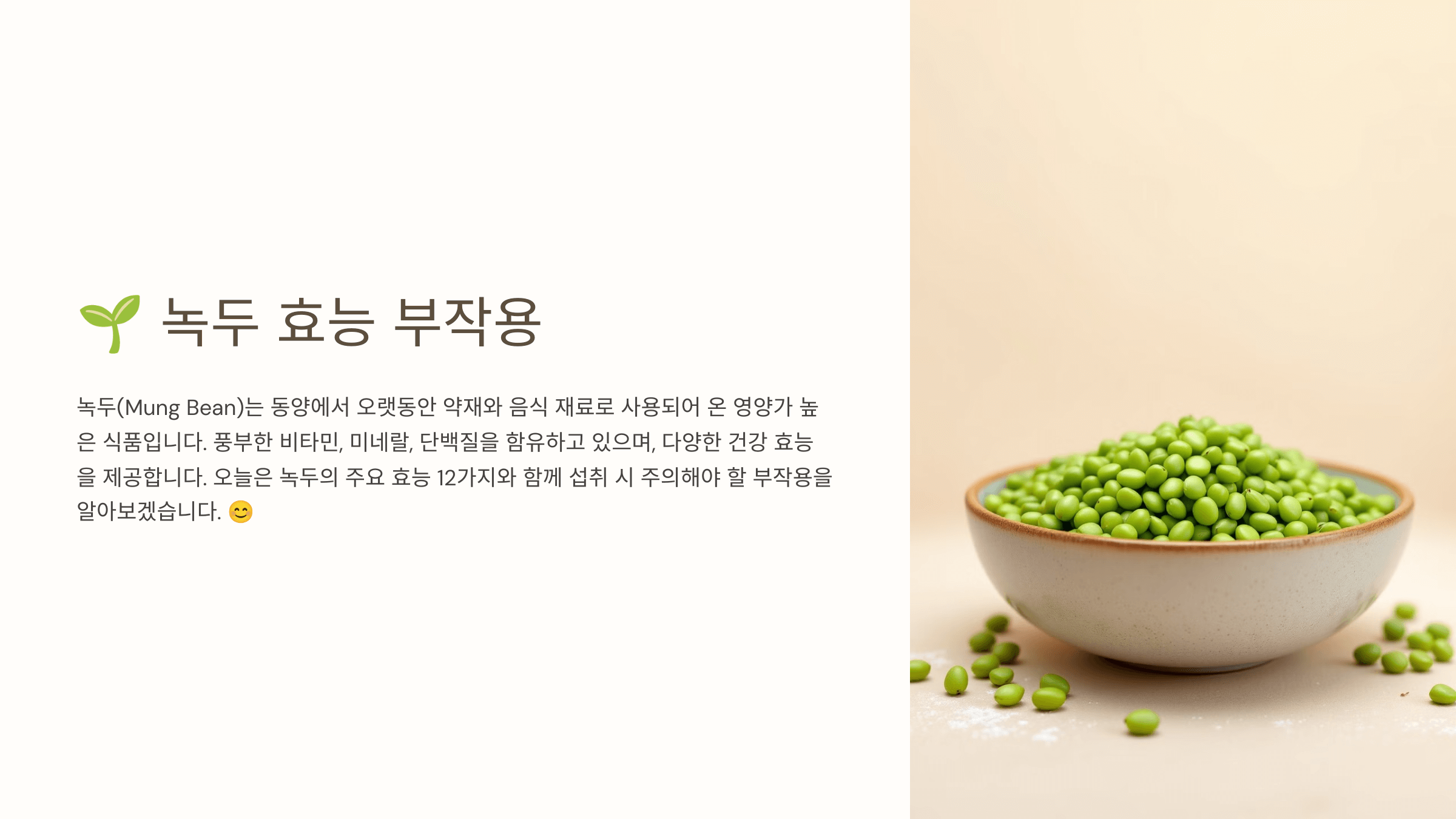 녹두 사진입니다.