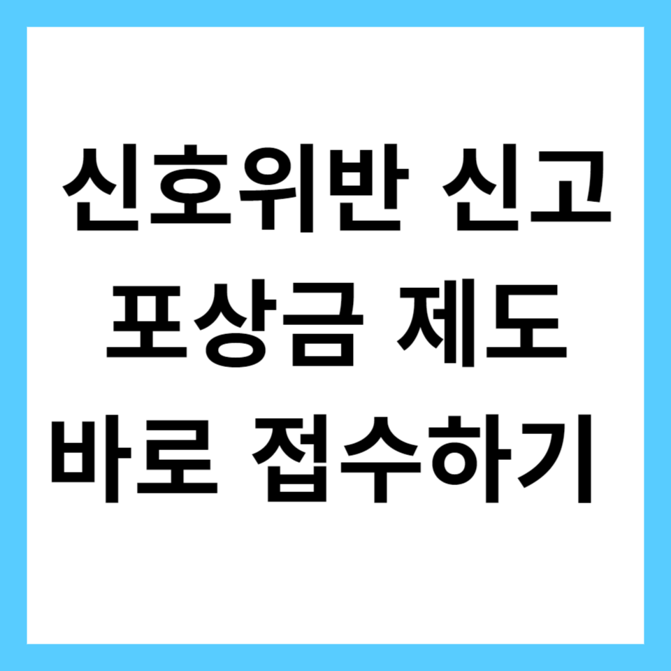 신호위반 신고 포상금