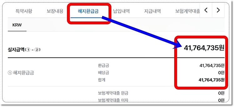 내가 가입한 삼성생명 무배당 삼성종신보험 해지환급금 가능금액