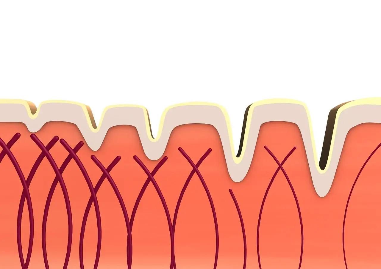 스피루리나 효과