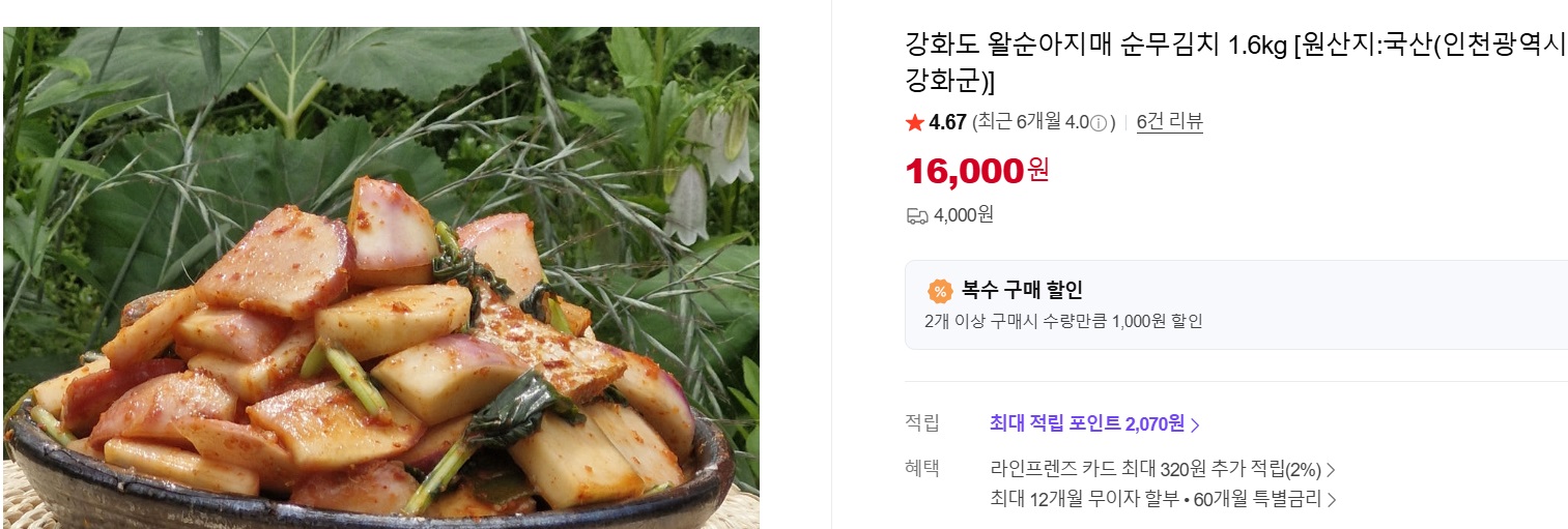 강화도-순무김치-왈순아지매