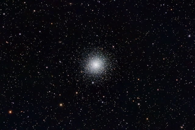 밤나무 껍질책갈피의 촉감 스케치