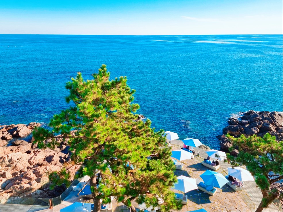 부산 기장 웨이브온 카페: 설명이 필요 없는 오션뷰 원탑