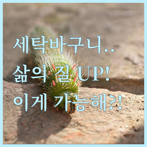 세탁바구니 하나 바꿨을 뿐인데 삶의 ..