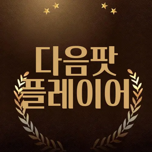 다음팟 플레이어