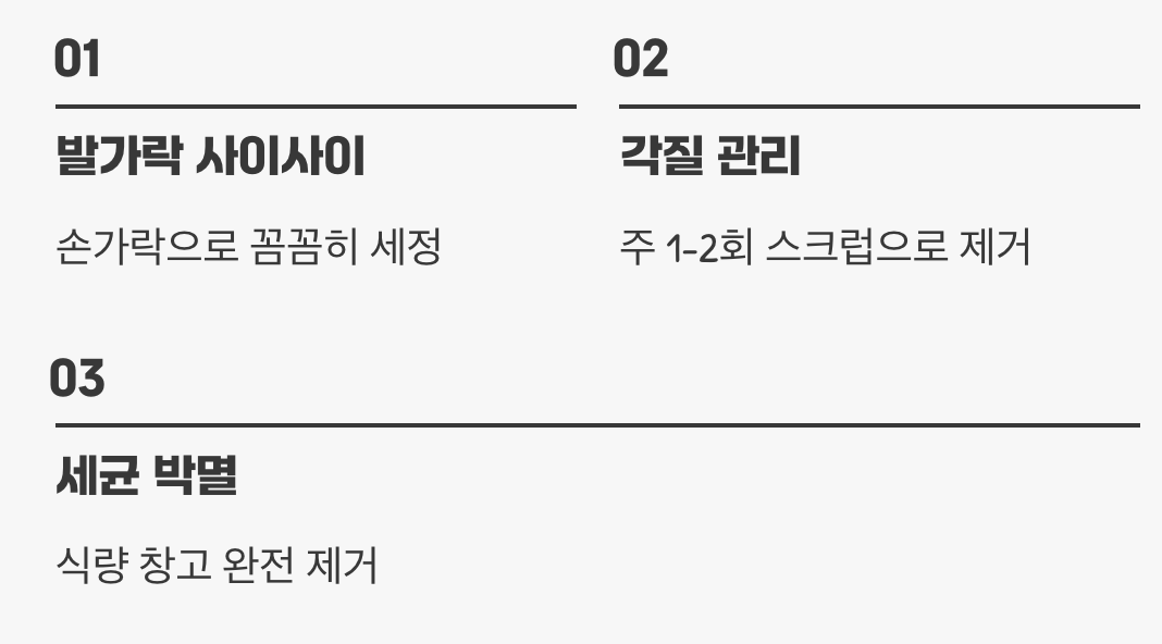 모든 것의 시작, 올바른 발 씻기