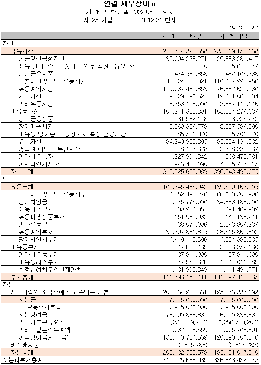 에스티아이 - 재무상태표