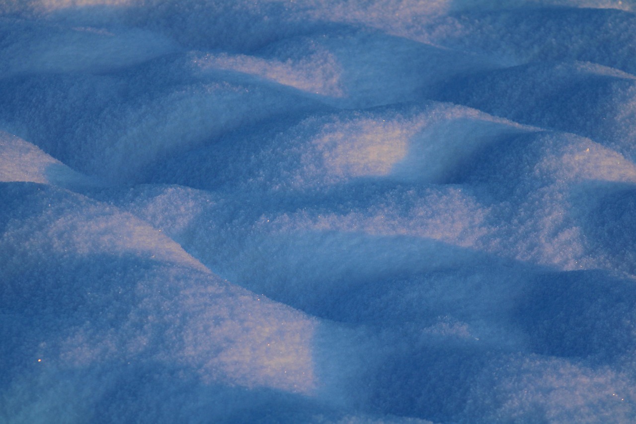 넥스가드&middot;하트가드&middot;프론트라인 비교