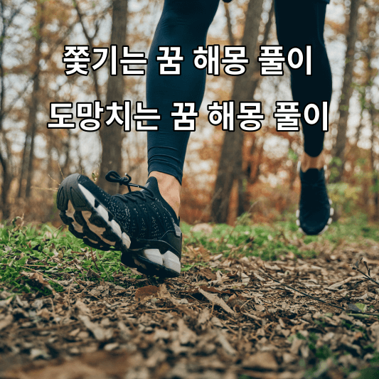 쫓기는 꿈 해몽 풀이