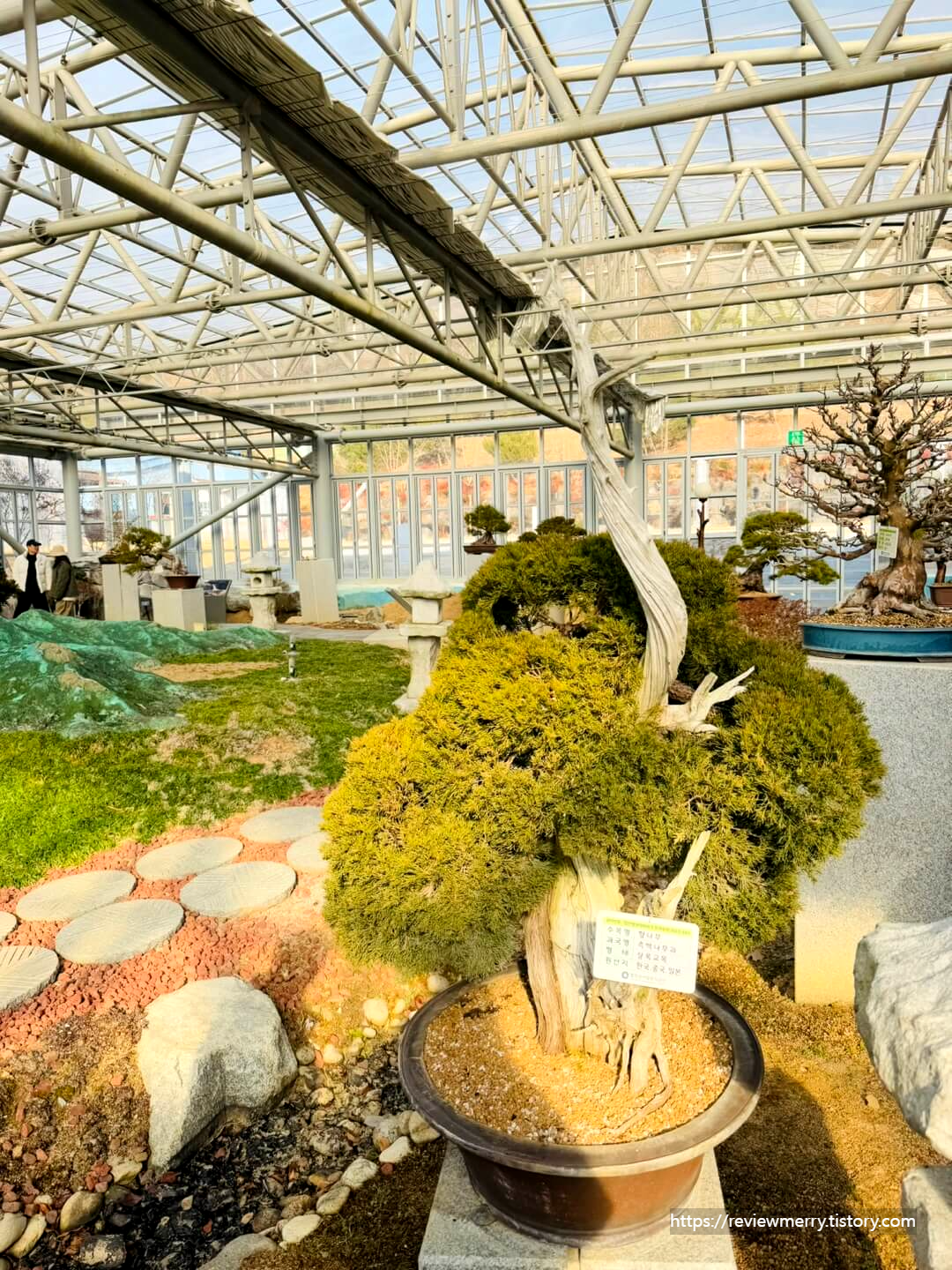 분재