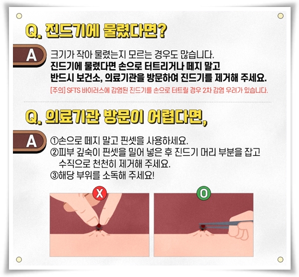 "진드기" 야외 활동의 숨은 적, 안전한 야외 활동을 위한 가이드!