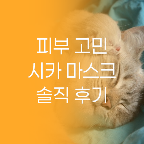 피부 고민 끝, 비아이펙트 시카 마스