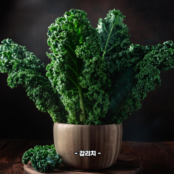 루테인 많은 음식