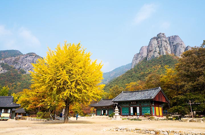 주왕산의가을