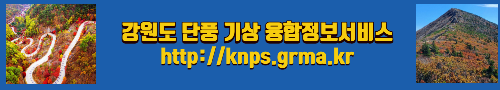 알트태그-강원도 단풍기상 융합정보서비스 바로가기