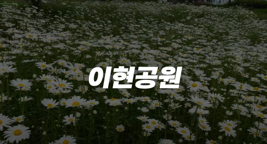 5월에 꼭 가봐야 할 적국 봄꽃 명소