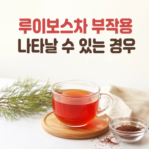 루이보스차 부작용과 섭취전 확인할 점