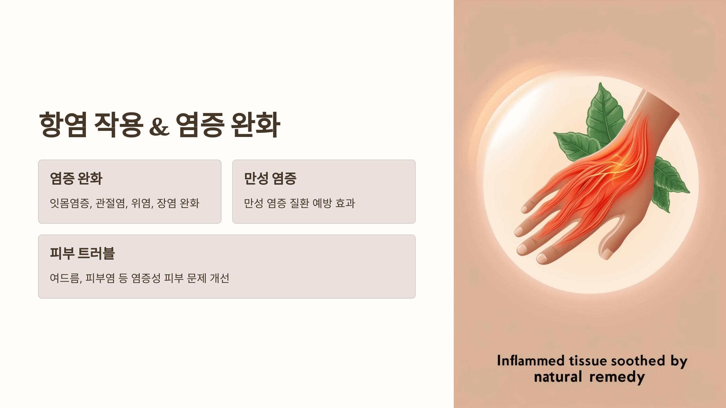 프로폴리스와 관련된 사진입니다.