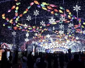 화천 산천어축제_31