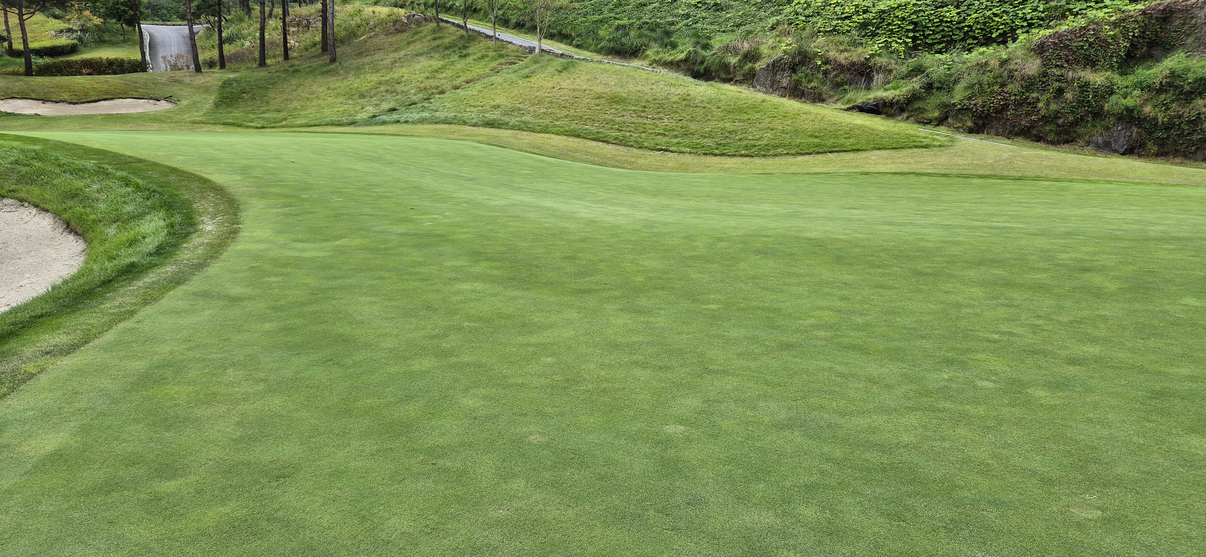 소노팰리체cc이스트