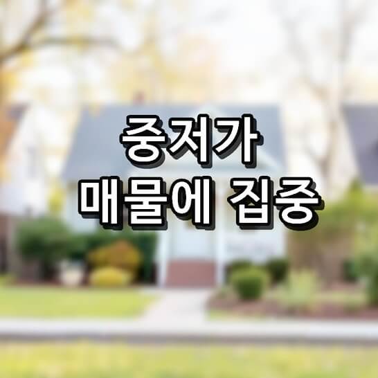 도로-나무-집