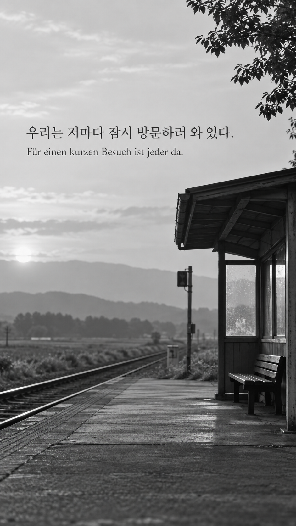 독일어 명언 2 아인슈타인 우리는 저마다 잠시 방문하러 와 있다. — 햇빛이 드는 작은 철도 대합실