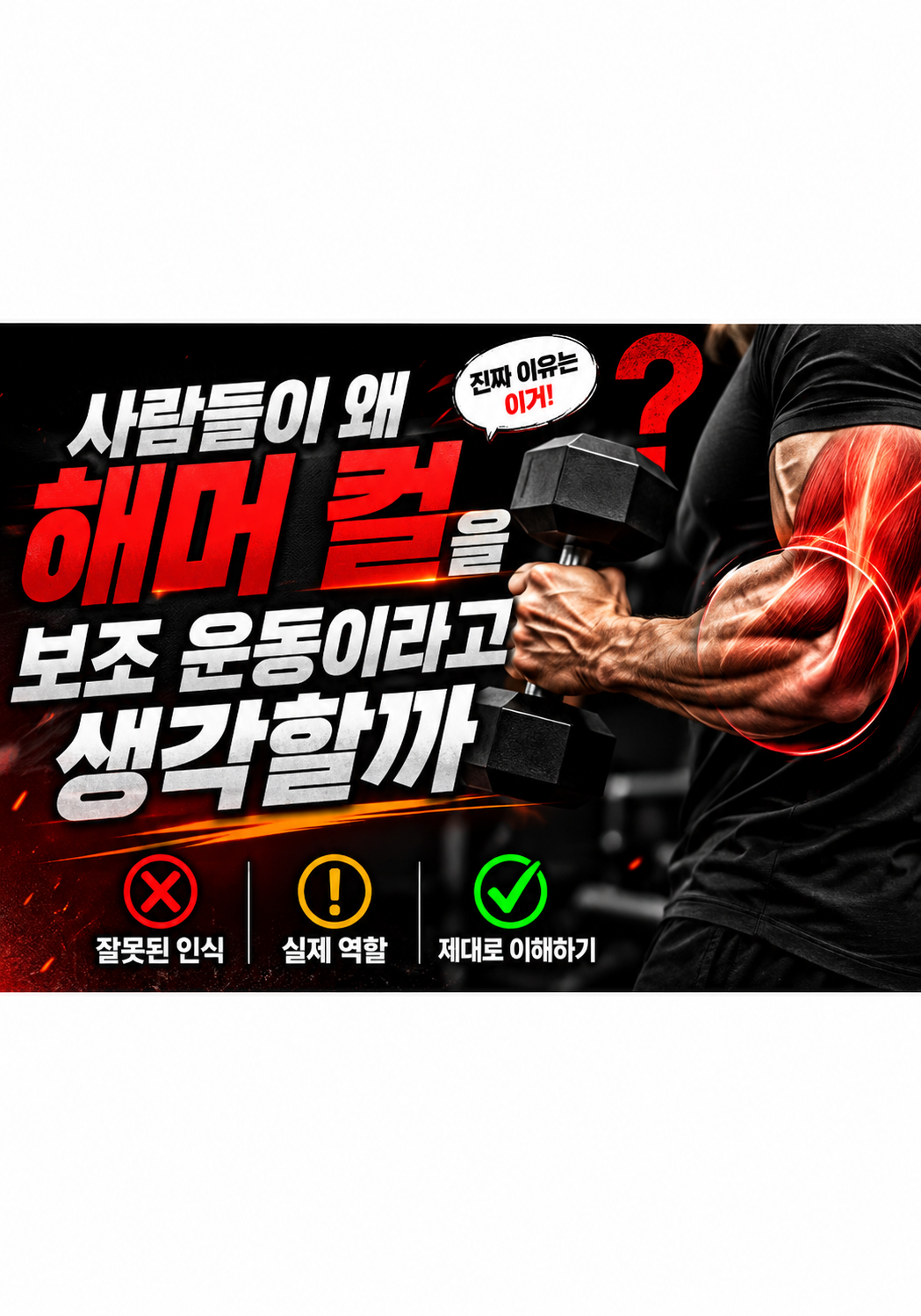 해머 컬은 보조 운동일까: 많은 사람들이 착각하는 이유
