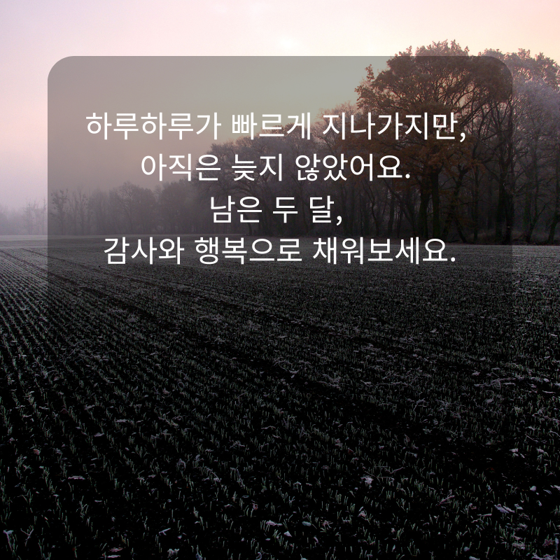 11월 인사말 문구 이미지 가을 겨울 인사글 모음집