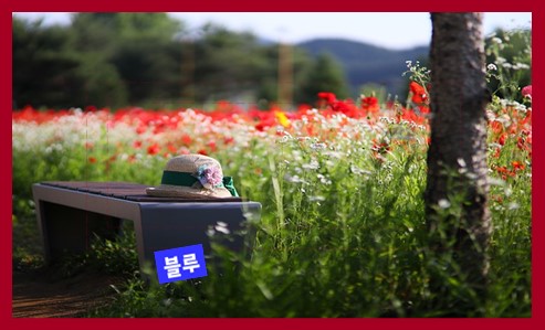 스트로 해트 종류 6가지