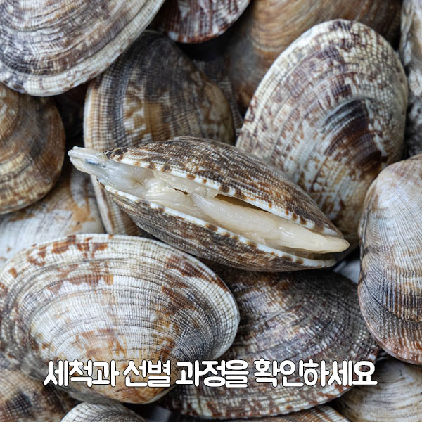 3. 세척과 선별 과정을 확인하세요
