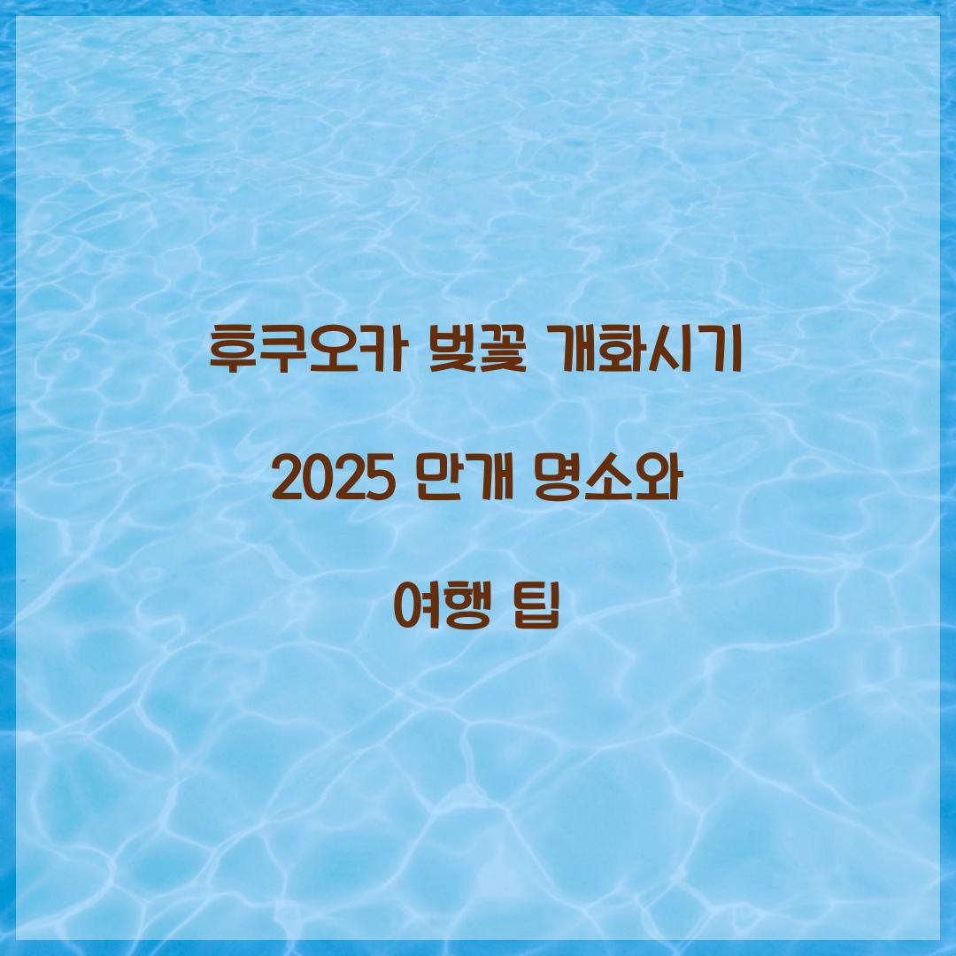 후쿠오카 벚꽃 개화시기