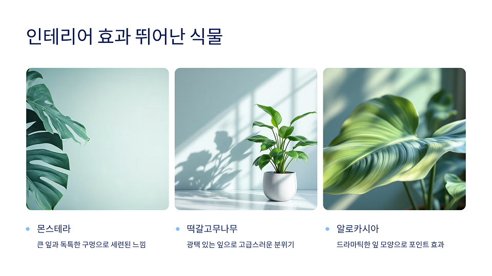 인테리어 효과 식물