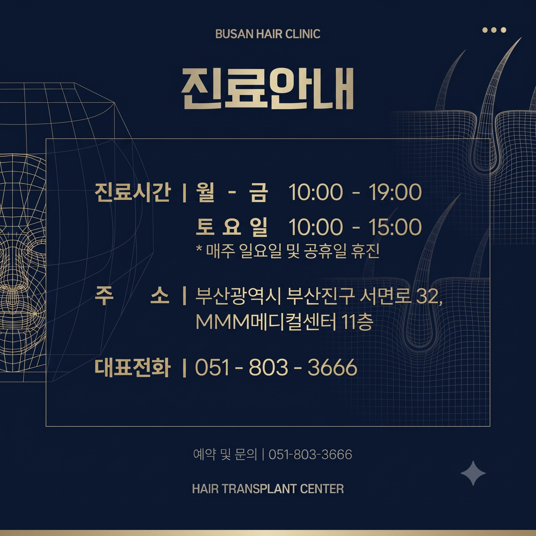 AI로 만든 서면 모발이식 잘하는 곳인 헤어로의원 진료 안내문
