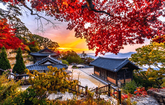 기와집 3채가 있고 마당도 넓다. 주변에 빨간 단풍나무들이 매우 가득하다.