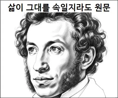 삶이 그대를 속일지라도 원문