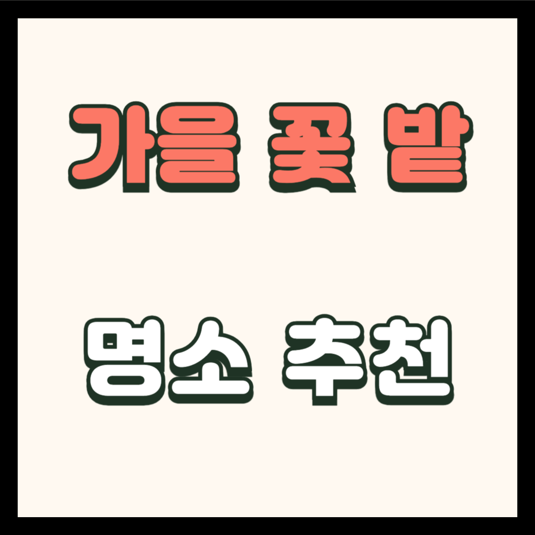 가을꽃 명소