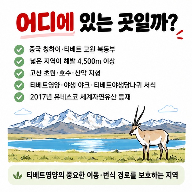 해발 4500미터 이상 고산지대와 티베트영양 야생 야크 등 커커시리 자연환경을 보여주는 카드
