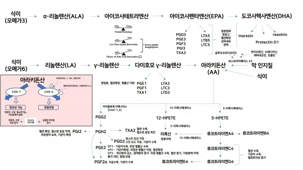 진통제 부작용