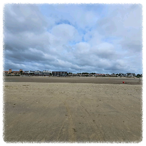 신두리 해수욕장